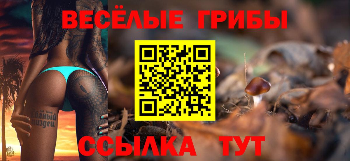 Галлюциногенные грибы Psilocybe  Вход с VPN  Рославль 